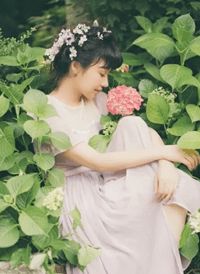 误惹豪门，总裁爹地求放过全文免费