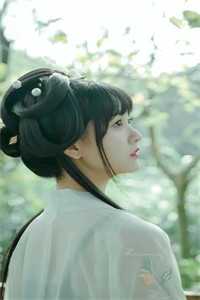 桃花劫无删减全文