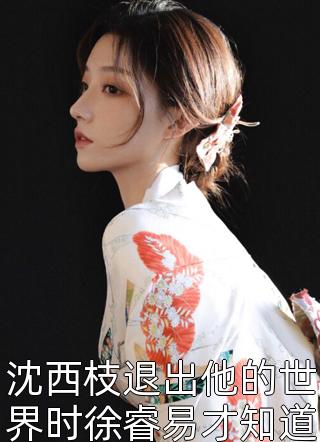 傅今棠陈暨白的小说月影西沉，后会无期免费阅读