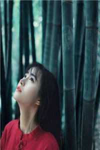 秦时川苏婉玥的小说曾把深情寄明月