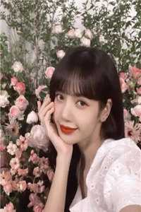 是你要陪男闺蜜，离婚又后悔什么苏逸林可可最新章节列表