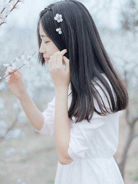 恨意蚀骨，再无白头小说蓉蓉蓁蓁完结版
