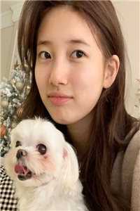 沙雕女配穿书后，成了黑红第一人完结版小说江绮遇祁逾