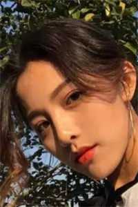 南风未起，故人不归陆辰西丁克全局